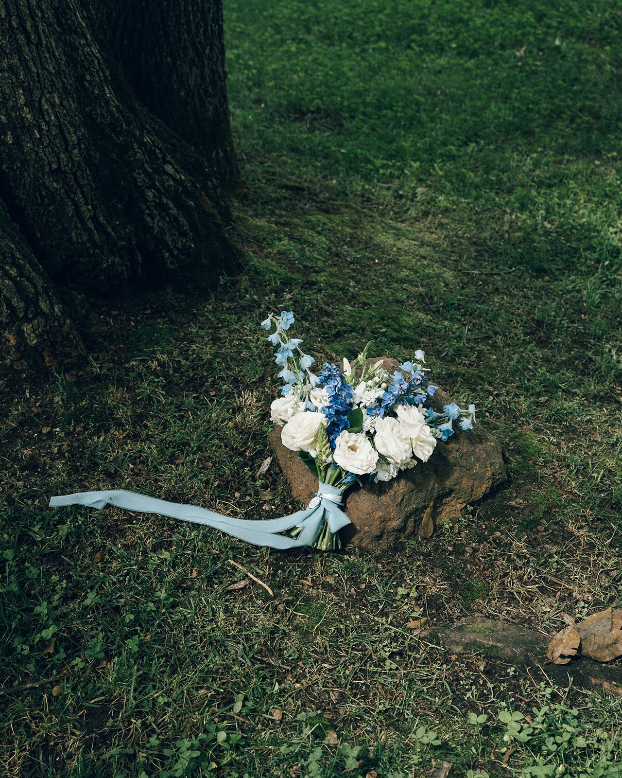 A blue and white garden-gathered bouquet resting among the roots of an old tree — designed by Lael Florals