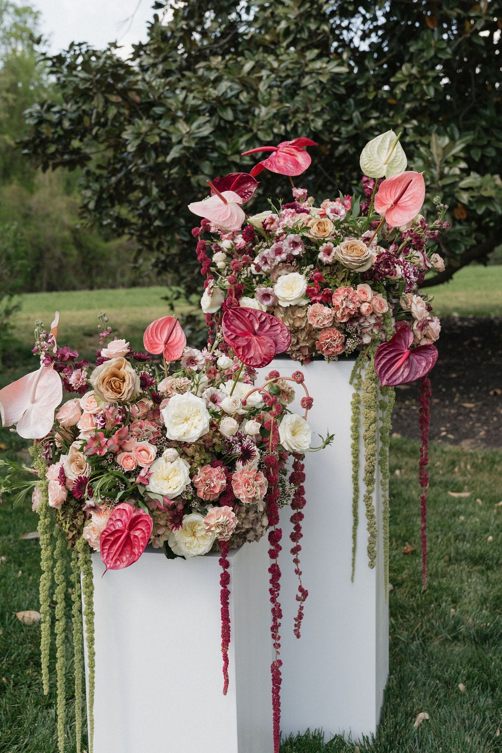 Paired pedestal arrangements with anthurium and trailing amaranthus at the Callie & Jeremy wedding — designed by Lael Florals